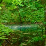 Blue Pond in Shirakami-Sanchi in Aomori, Japan