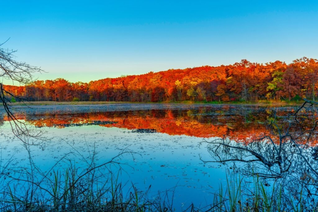 Higan, el Equinoccio de Otoño en Japón
