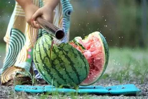 suikawari juego sandia